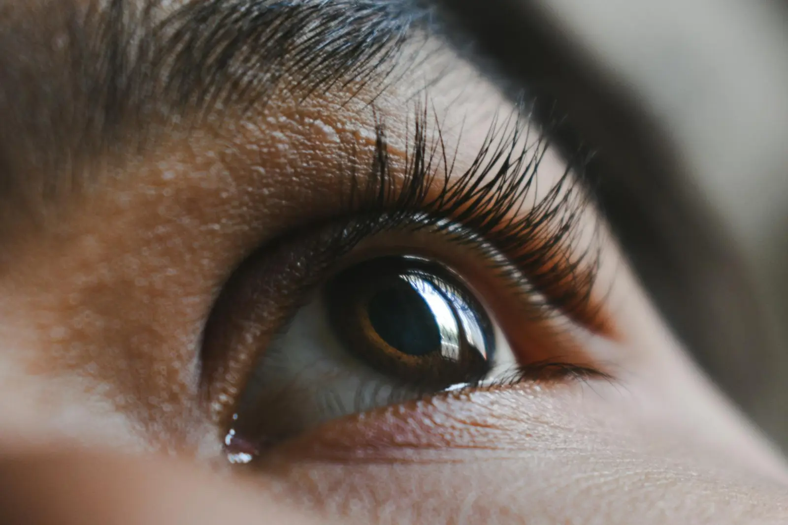 Eyelash-Extensions.webp
