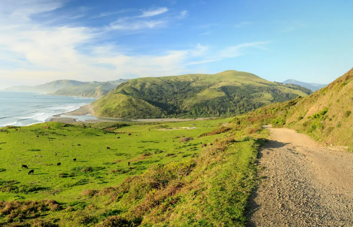 Lost-Coast-Trail-California