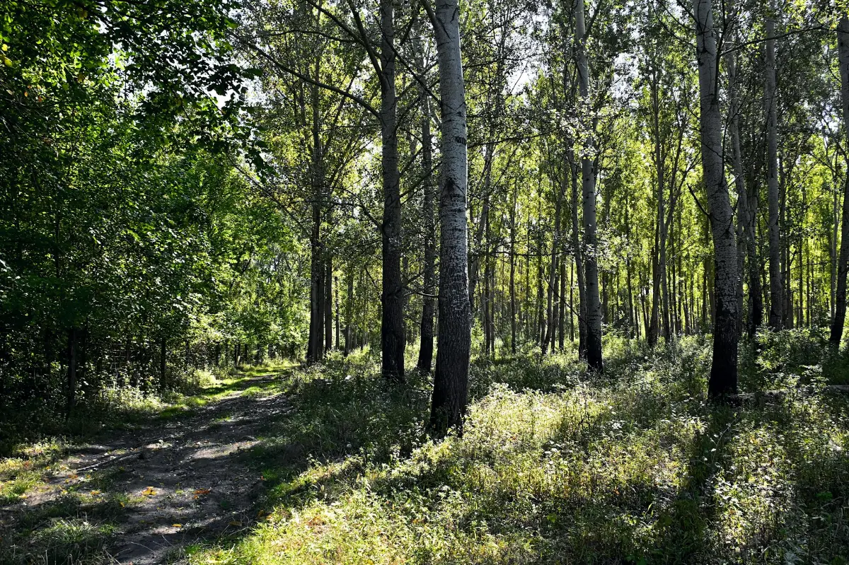 7 Scenic Trails That’ll Make You Fall in Love With Hiking